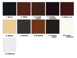 Boston Nahkasohva, 2-istuttava -KalusteVaaran Kauppa adon nahat22 1